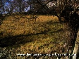 Land for sale near Pamporovo ski resort Smolyan property Ref. No 122058
