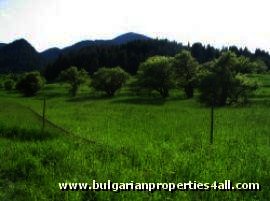 Land for sale near ski slopes of Pamporovo Ref. No 122052