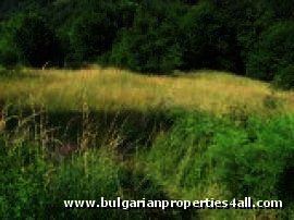 Land for sale near Pamporovo  Ref. No 122043